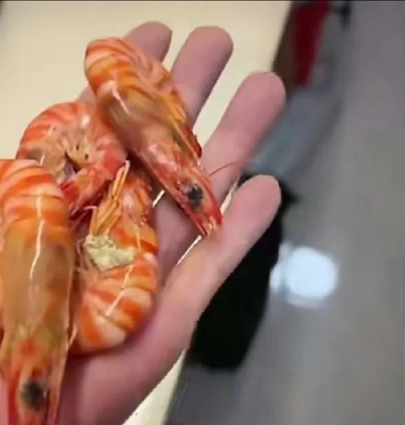 男子喝多了，回家刚进门就喊老婆和女儿。看到她们后从口袋里掏出了大虾和螃蟹，说是，