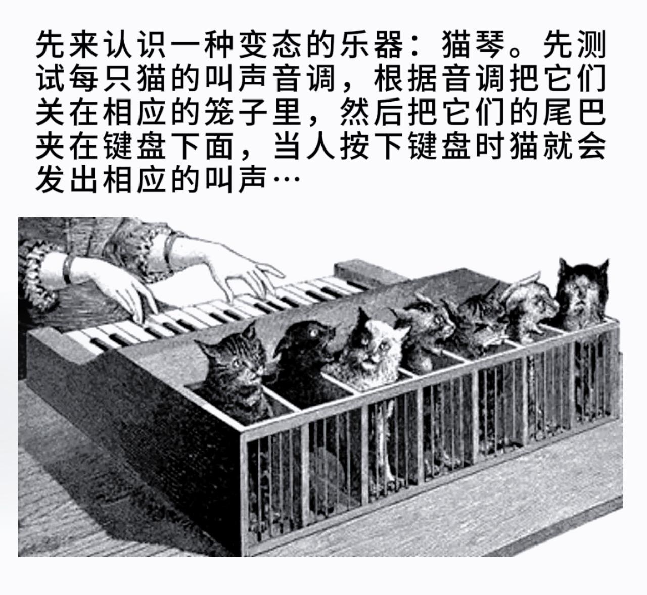 先来认识一种变态的乐器：猫琴。