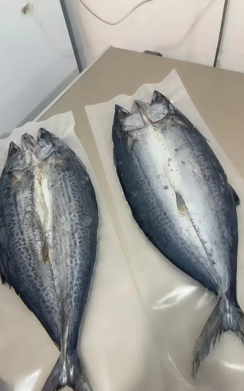 老爷们盯着电费单脸都绿了，三百多块的数字像一记闷棍。他先怪空调开太久，又翻出水