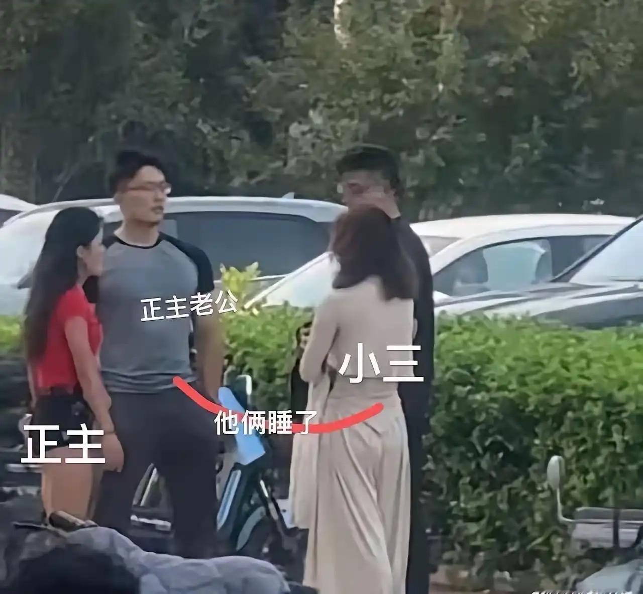 到底是什么关系呢
