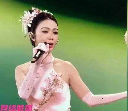 有家男子在家中看春晚时，看到电视荧屏里有个女歌手和自己的老婆有些相似，此刻男子还