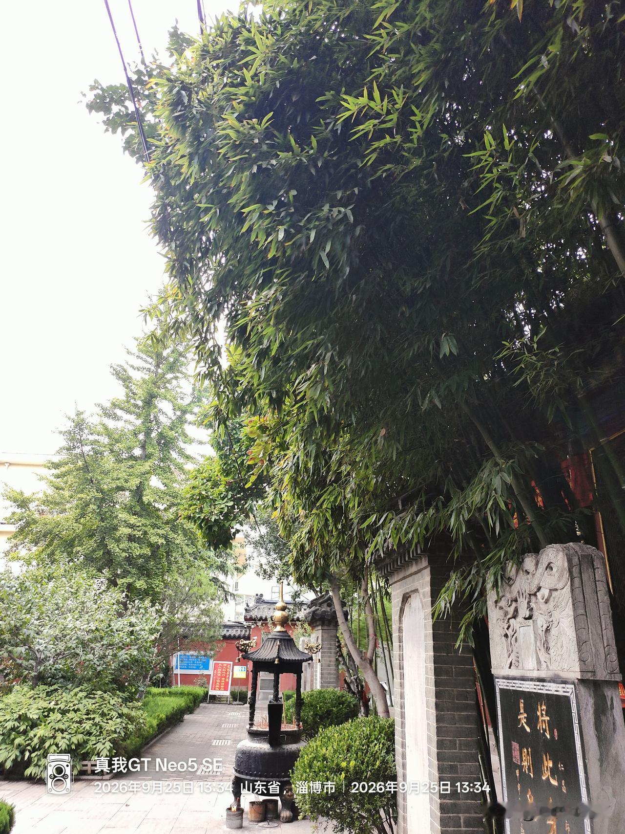铁打四人帮”，利尽人散去某矿业集团四名中层中，因一人是集团书记之子，所以常
