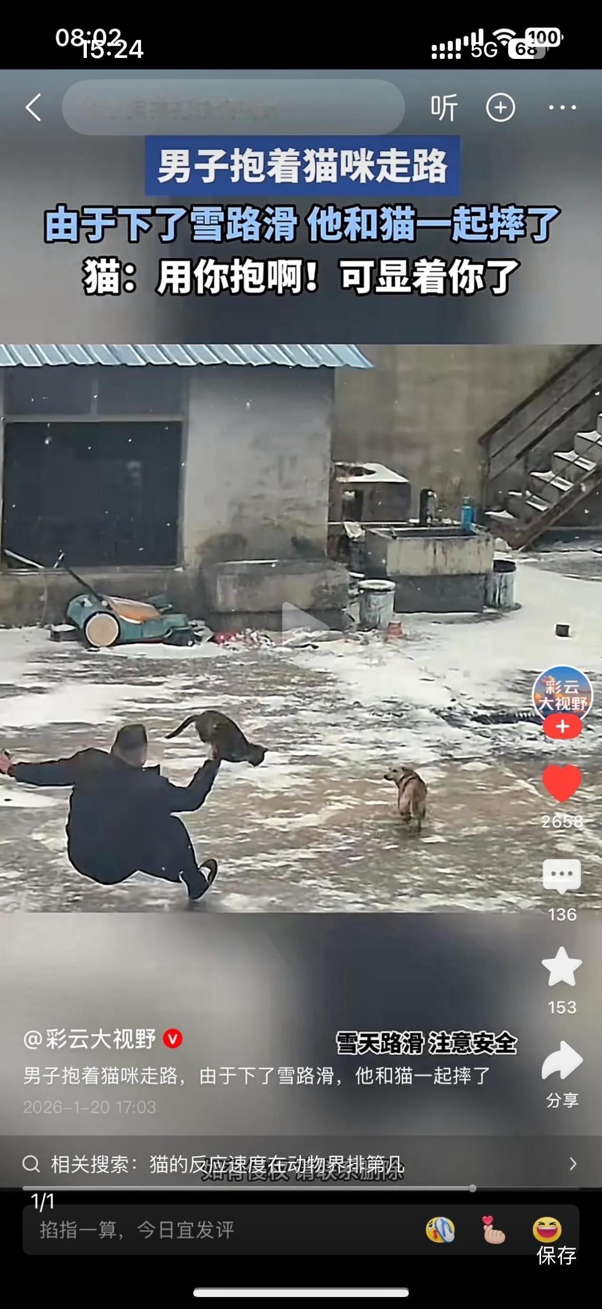 喵了个咪的，本来猫喵走的好好的。