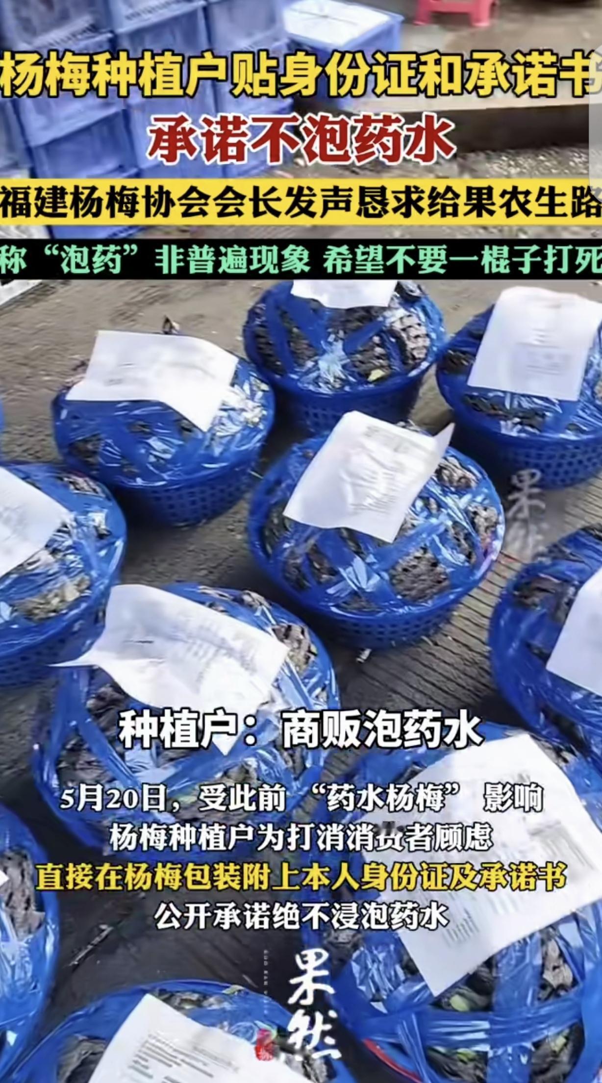 “豆腐掉进灰里了！”福建漳州，一男子是杨梅种植户，可杨梅泡药水曝光后，可把他害苦