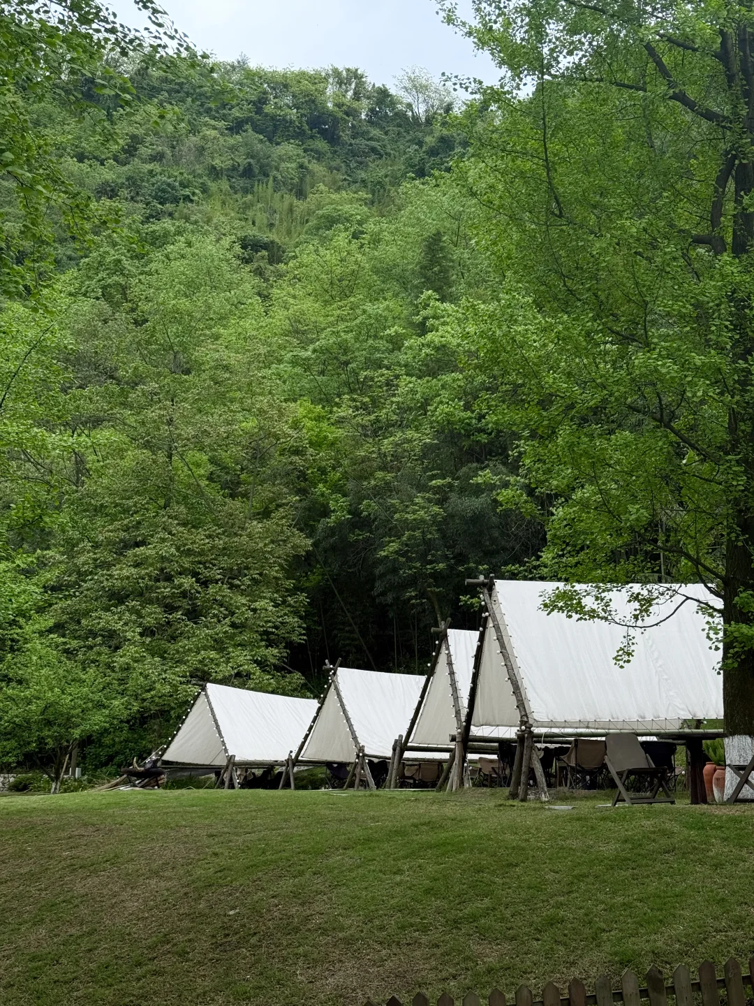 春日山居｜在大山深处，私藏了一整座春天