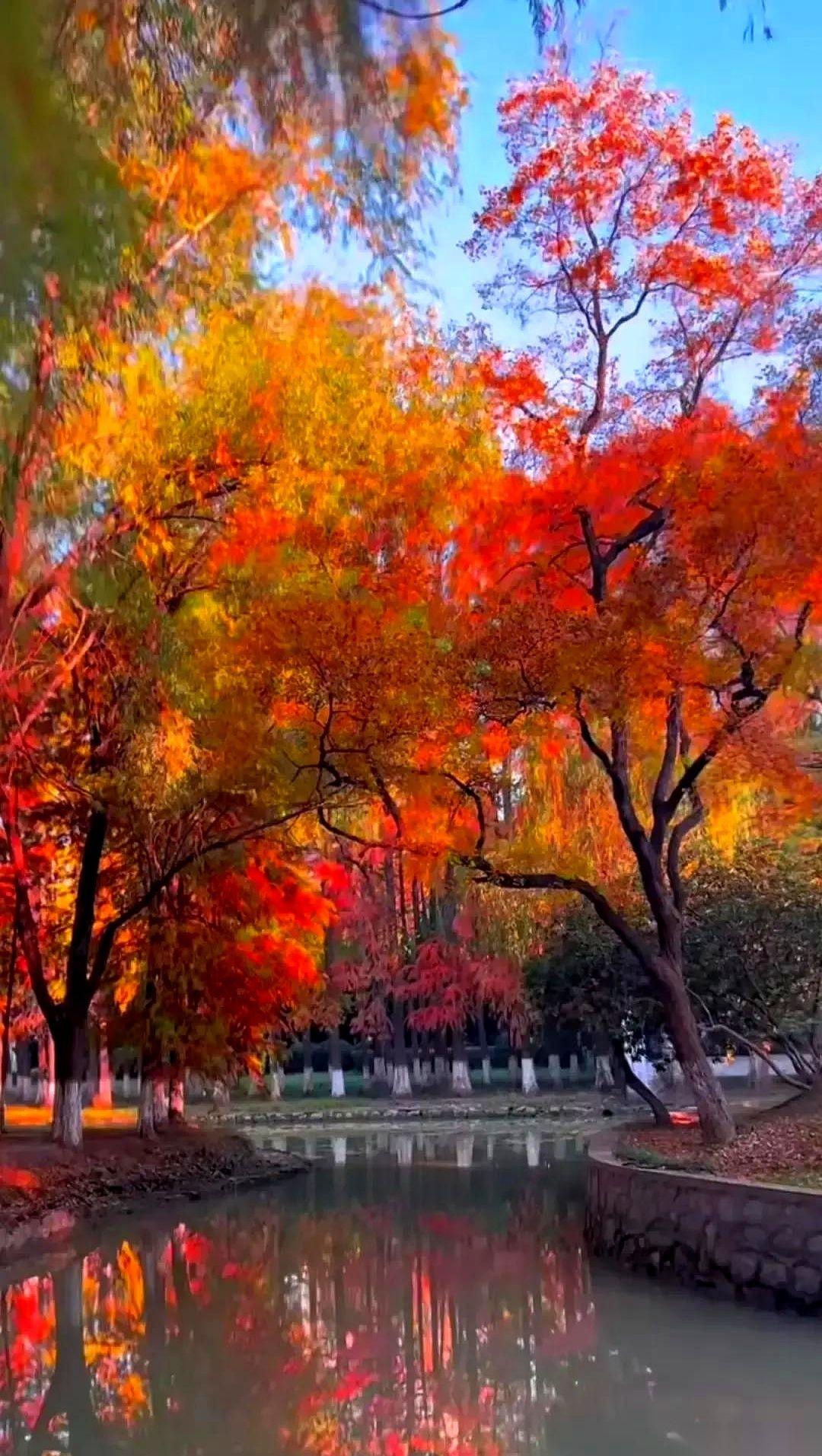 配型结果一出来，婆家那帮人就跟闻着腥味的猫一样，组团上门了。话说的倒是客气，什