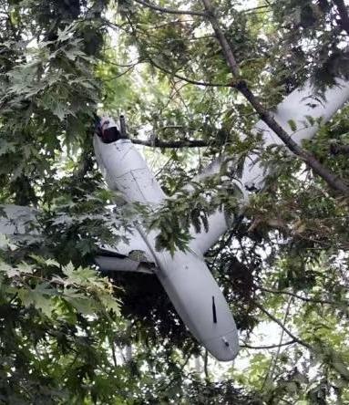 快报！是那个别有用心的家伙在朝韩之间制造摩擦？当地时间1月10日，韩国防部长官