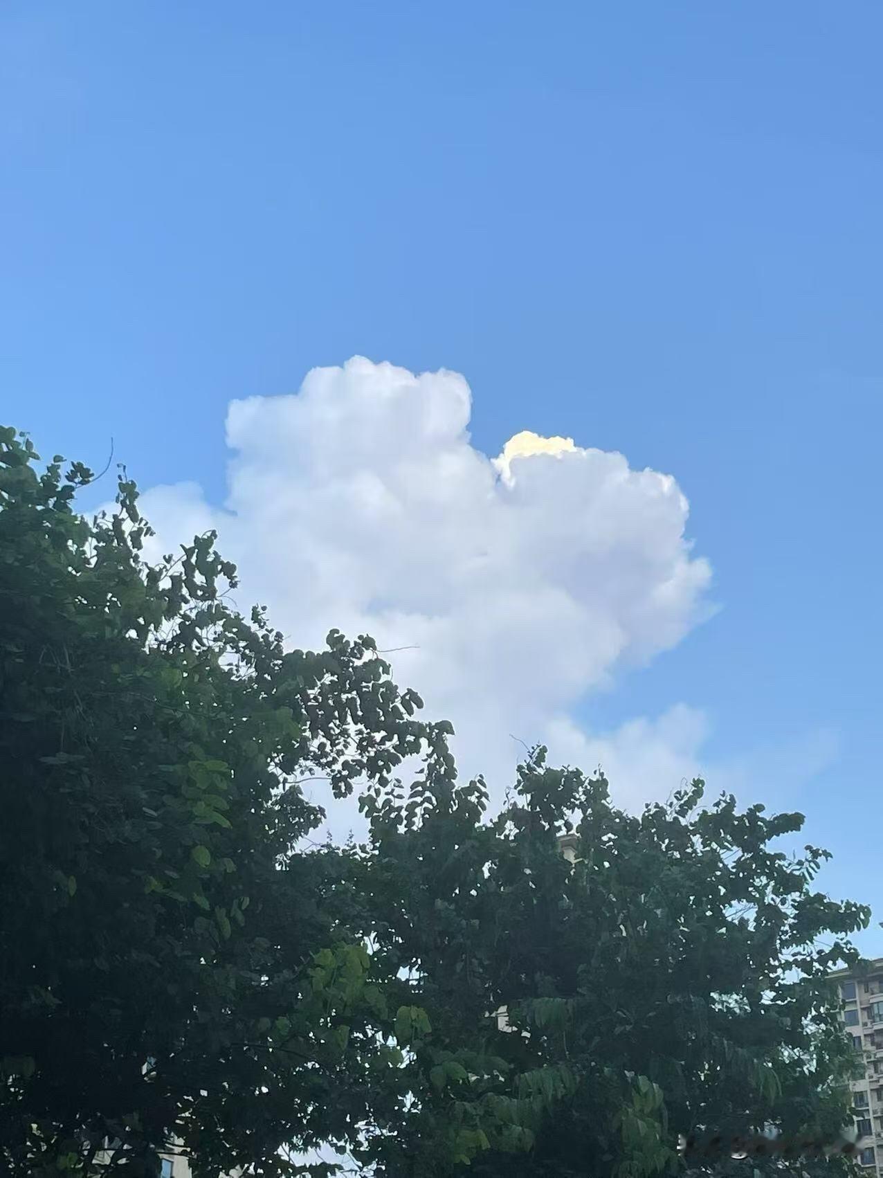 一想到不用结婚生子，我就觉得人生充满希望我爸在去年过年的时候，就对家里所有人宣