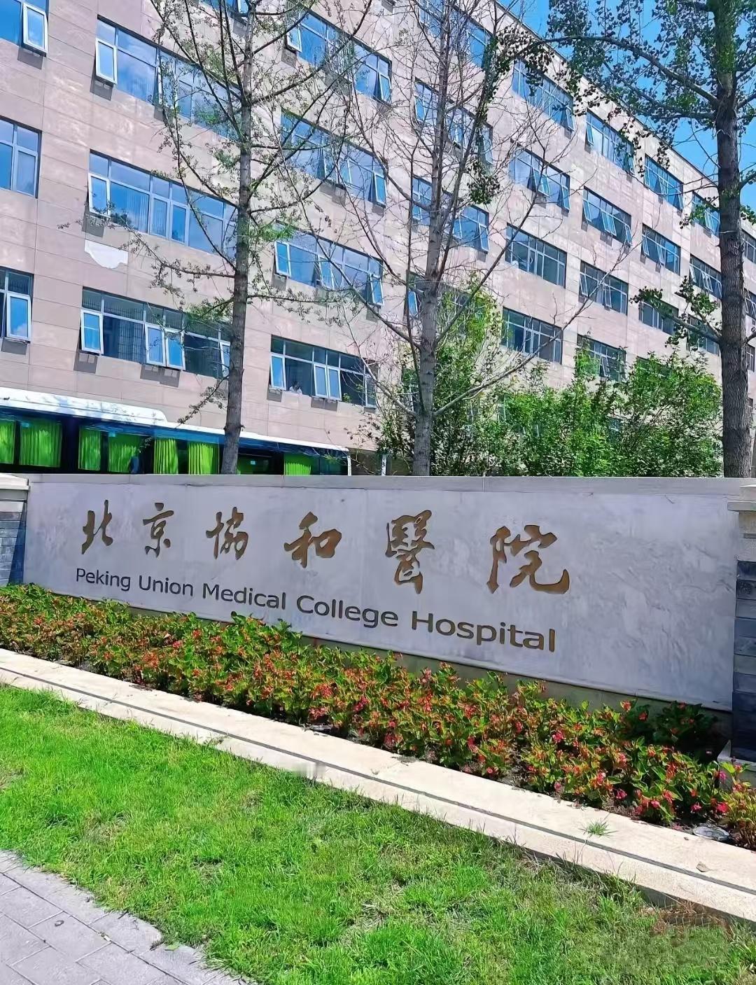 北京协和专家说：“你就高高兴兴地活着，没心没肺地活着，不要脸不要命地活着。