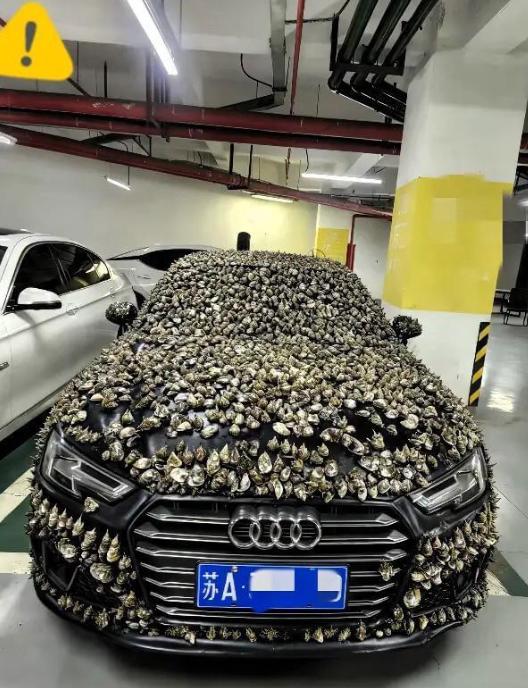 “一分钱不要，也得让你长记性！”业主车位被霸占10天，一怒之下做了这种事。他没有