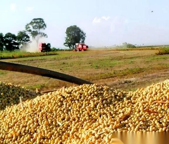 明明俄罗斯就在家门口，咱们买大豆却非要绕大半个地球去拉南美的货。这笔百亿级的生意