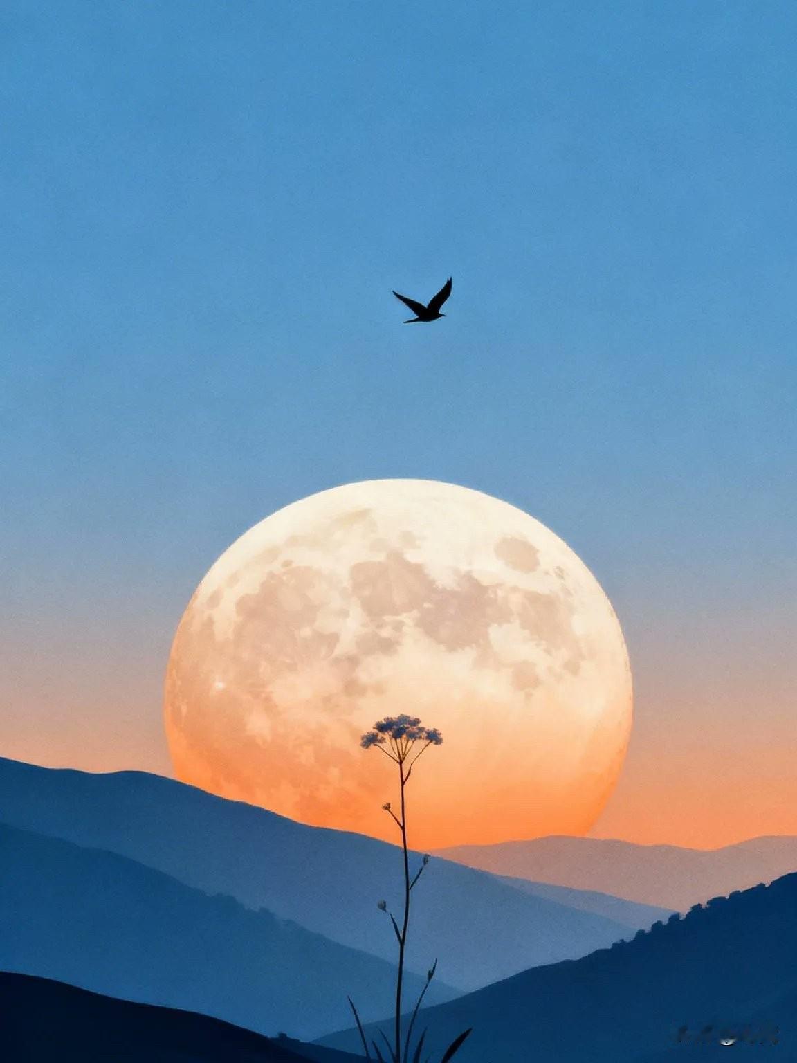 父母最深的觉悟，就是终其一生都要明白，养孩子的最终目的，不是孝顺，不是成才