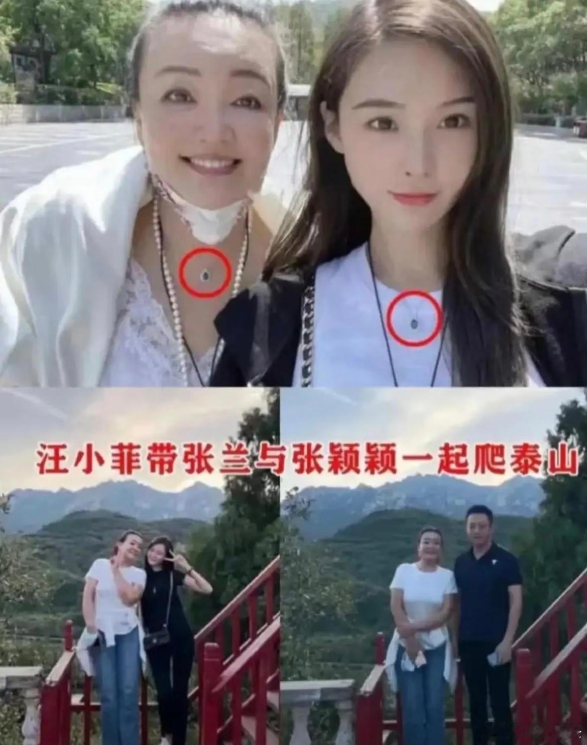 汪家又来矛盾，比八点档狗血剧还敢拍！马筱梅直播一句“我从没插足别人婚姻”，直接