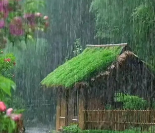河南省迎来大范围雷雨大风大雨天气