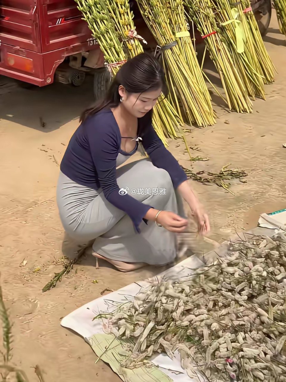 在大城市呆累了就农村来看看吧来看看家里的鸡冠花和芝麻杆……​​​
