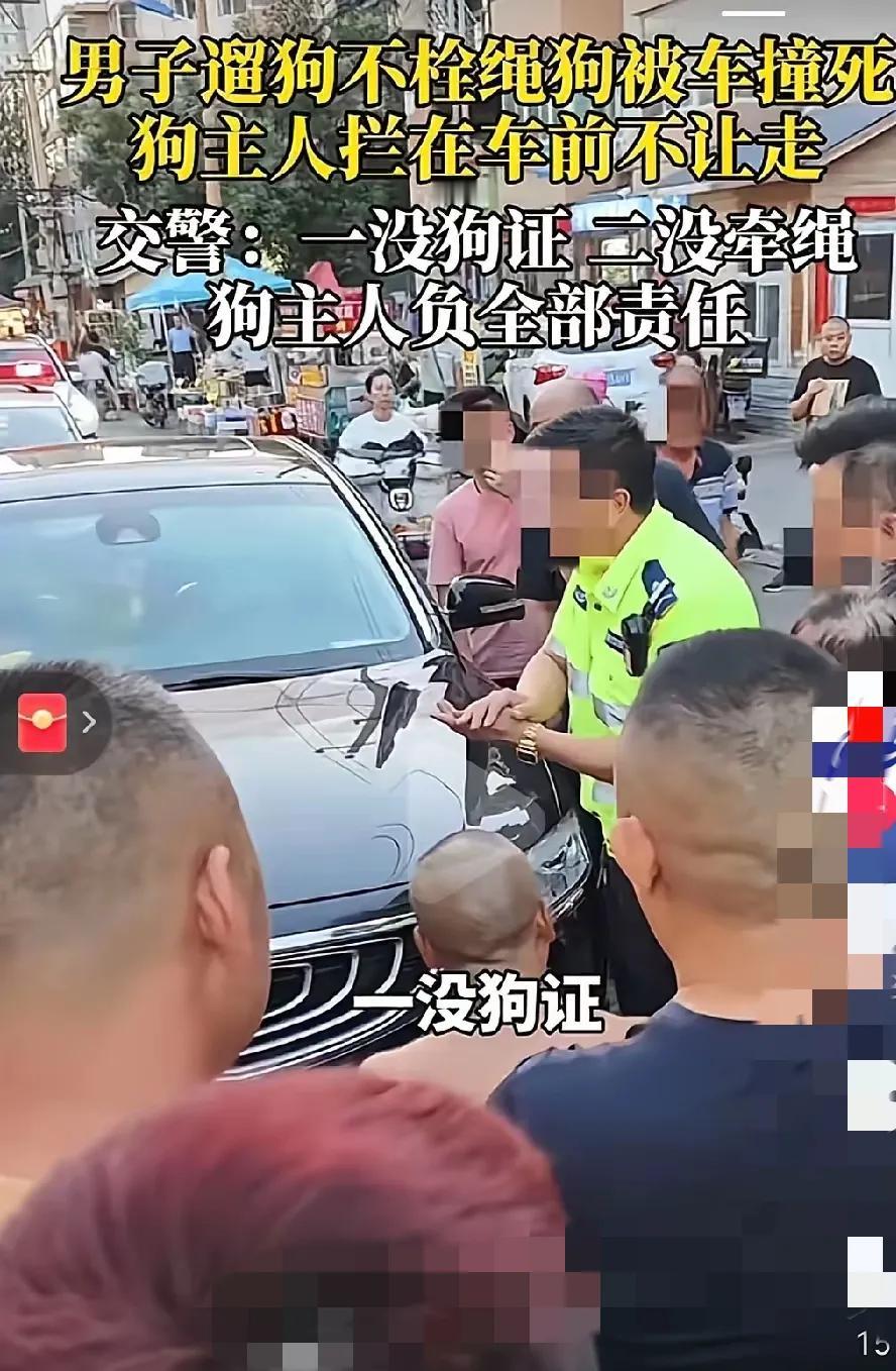 家人们，谁懂啊！走在路上，冷不丁就窜出条没牵绳的狗，心都要被吓飞！