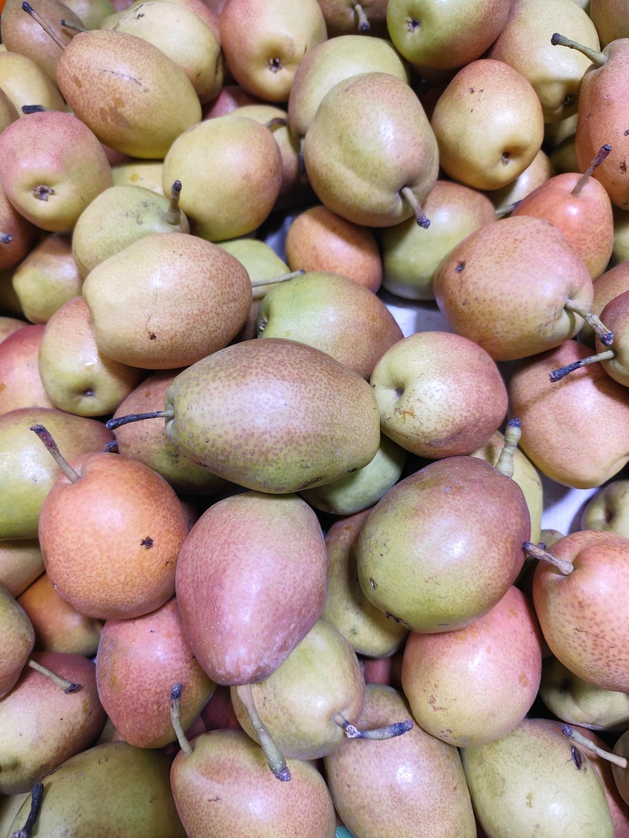 春天万物生长，瓜果大量上市，品种丰富，令人一饱口福。