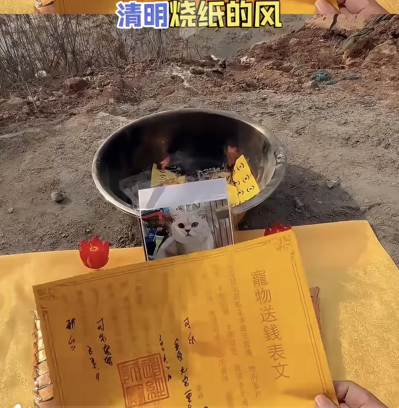 “宠物情趣寿衣店，利润900%”。宠物冥币、纸扎零食、迷你家电，甚至“汪星银行”