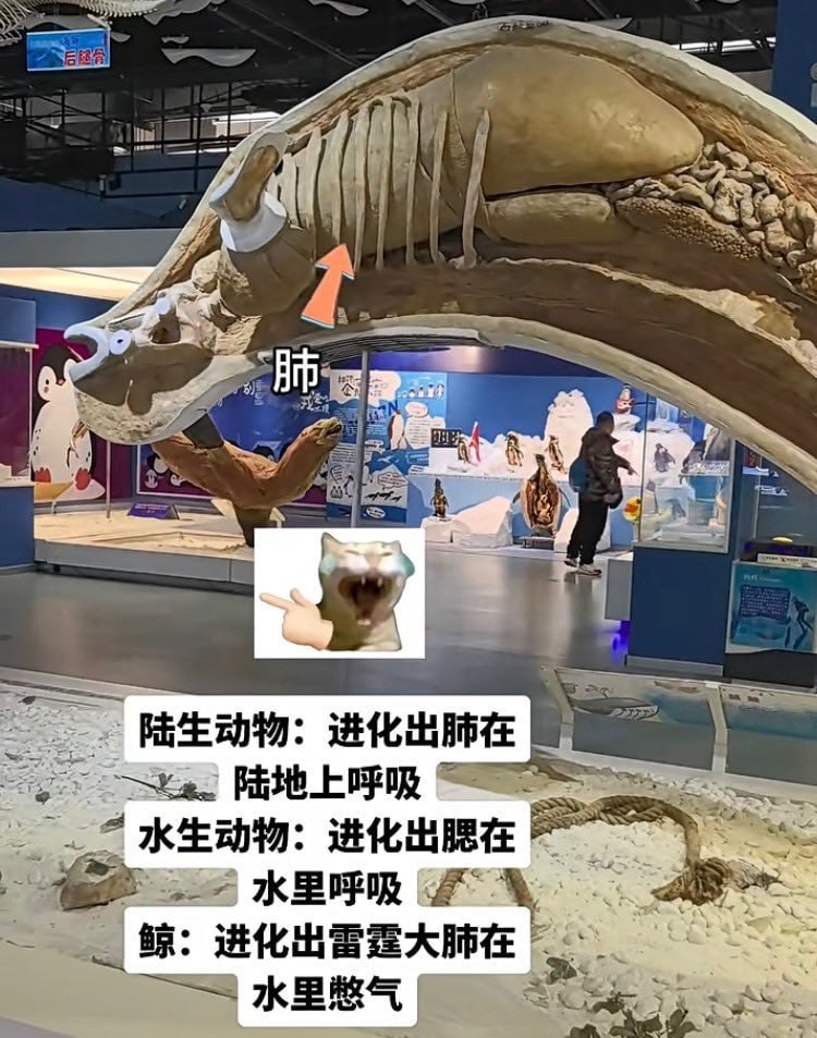 生命会找到出路