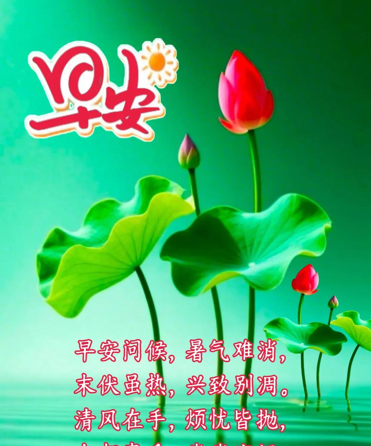 朋友：早安！《末伏安好》早安问候，暑气难消，末伏虽热，兴致别凋。清风在手