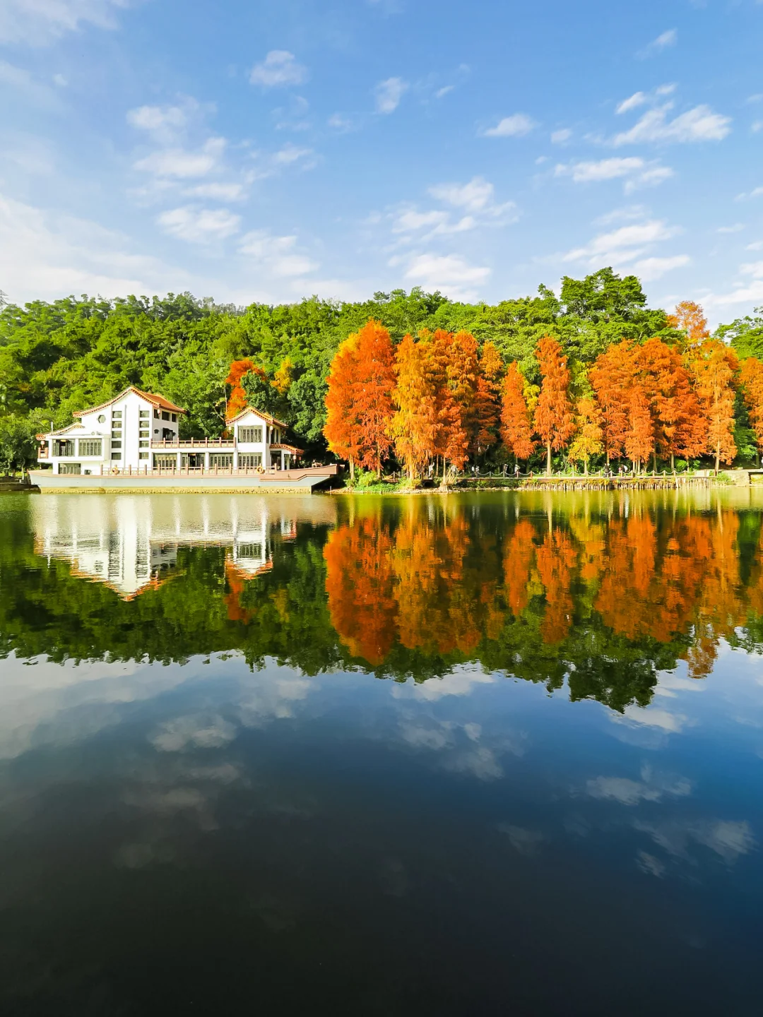 接下来的深圳是这样的…