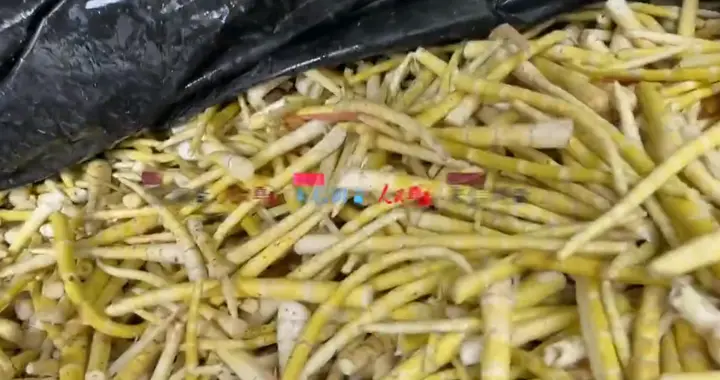 人民日报发声! 又一有害食品流向百姓餐桌, 比“毒白菜”更黑心