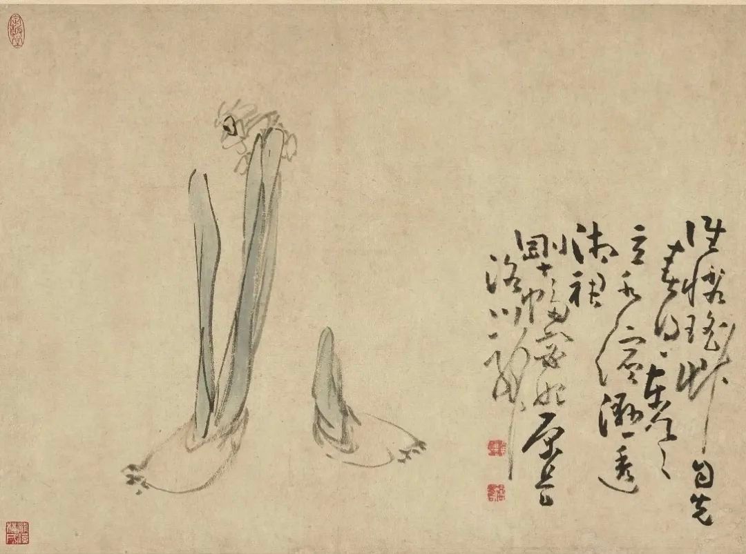 【花卉图册】黄慎国画雅集​​​