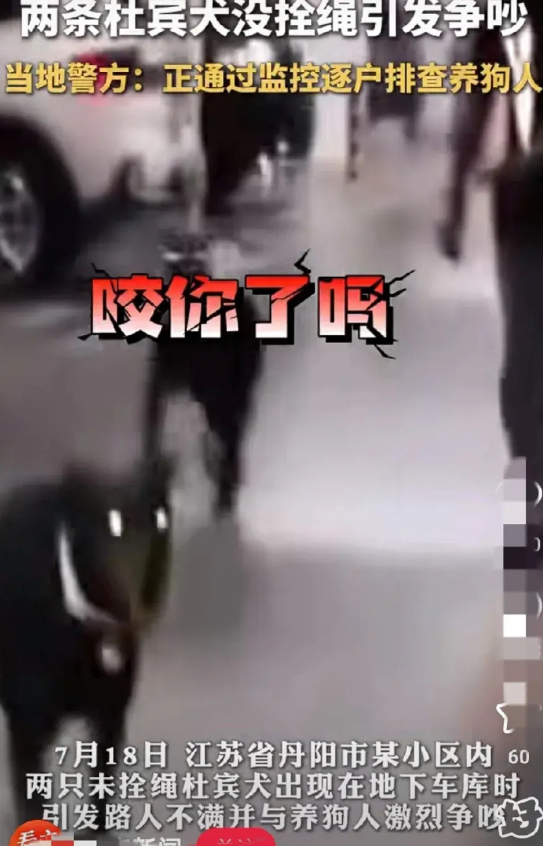 不得不说丹阳人民挺团结的，经过了几天才揪出主人，这操作真让人摸不着头脑——是物业