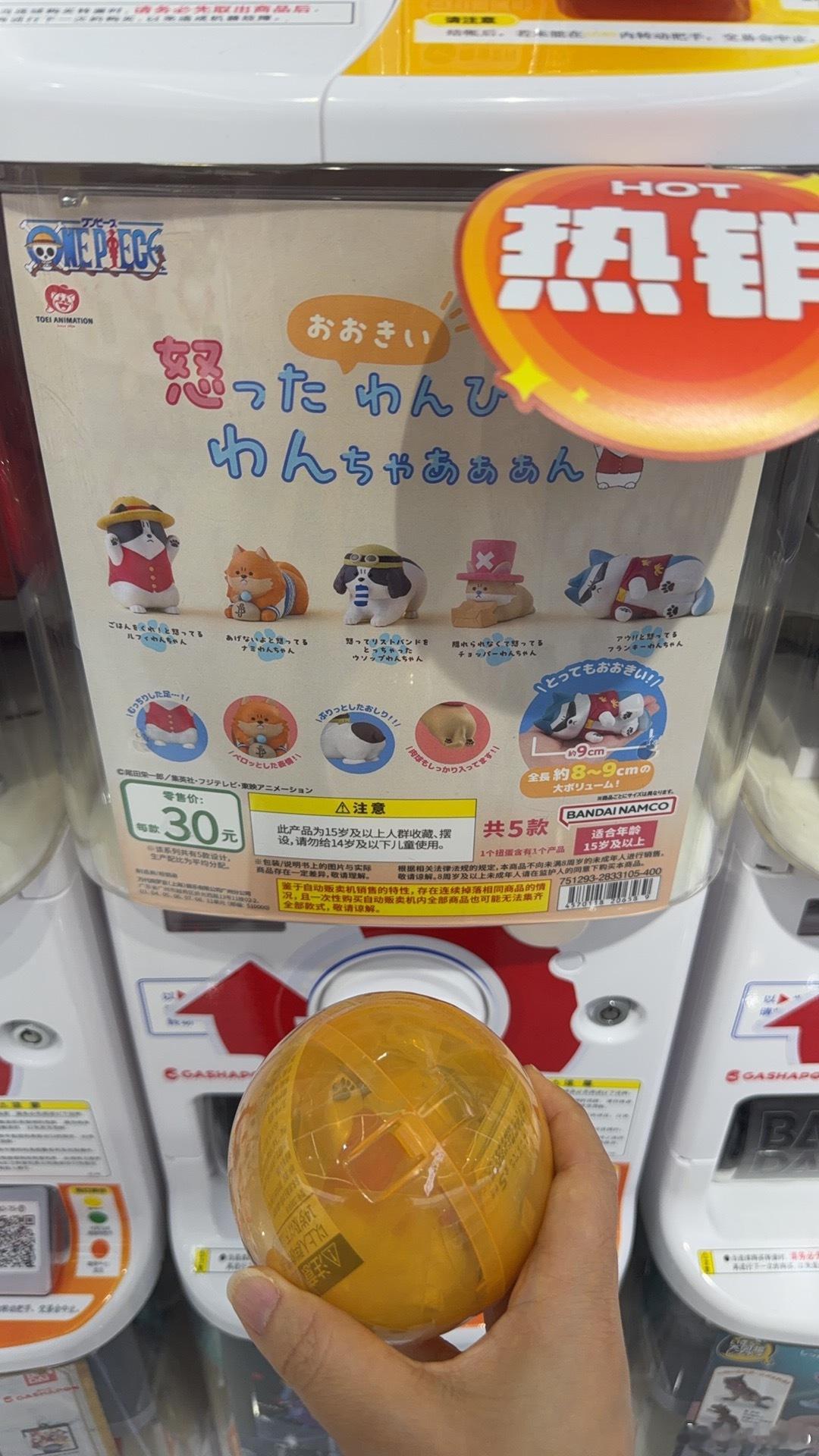 嘻嘻就这样赌路飞成功✓​​​