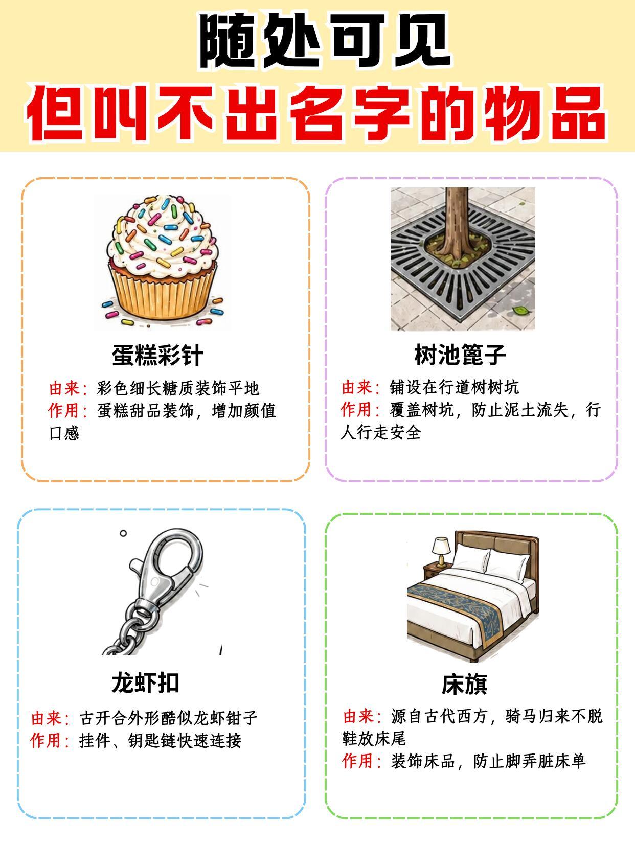 震惊！这些日常物件居然有名字🤯​​​