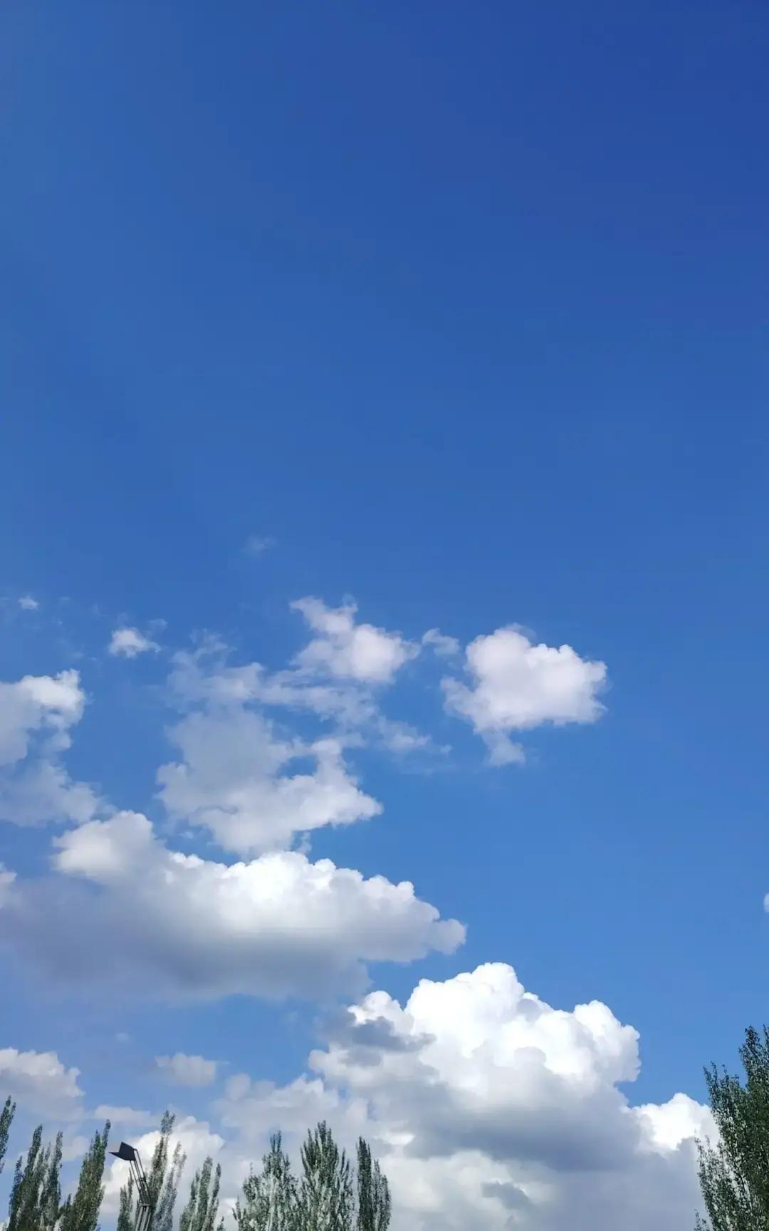 就在刚刚。日本多家机场突然宣布了大面积航班延误与取消，部分国际航线班次缩减