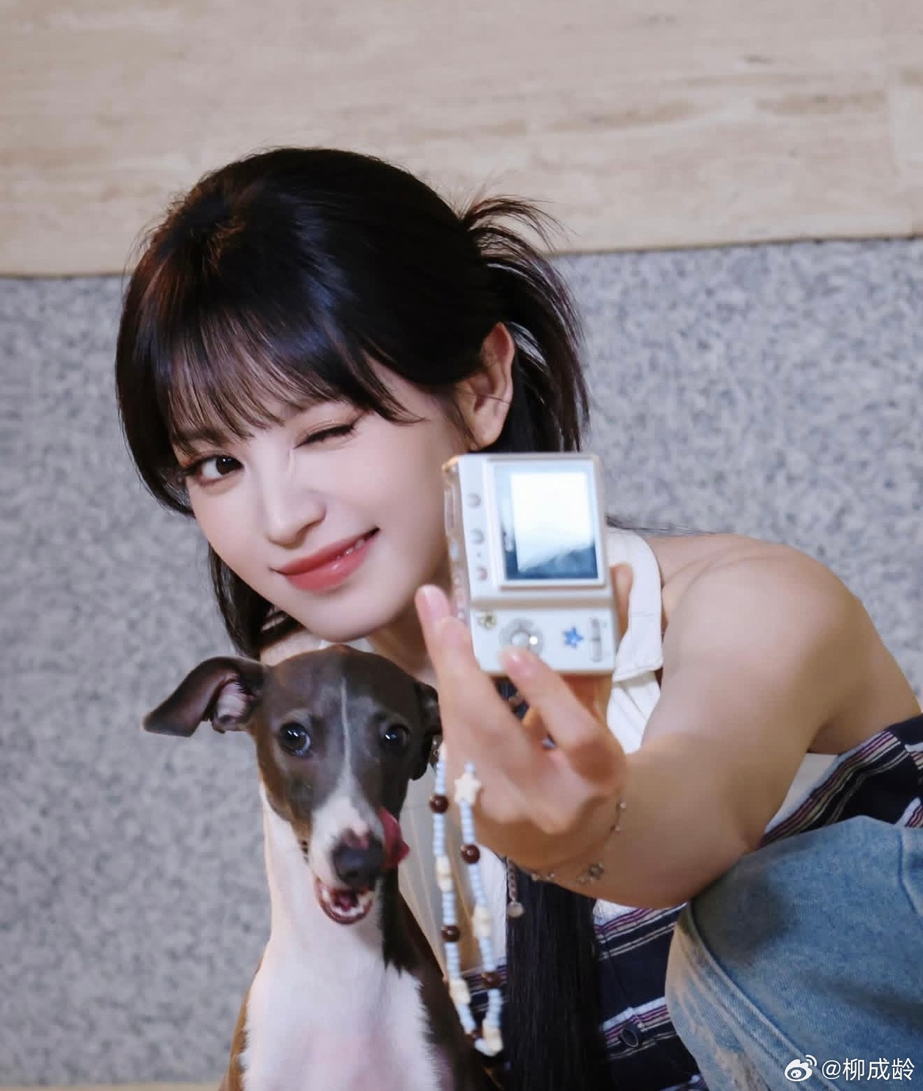 抓住了可爱的田曦薇