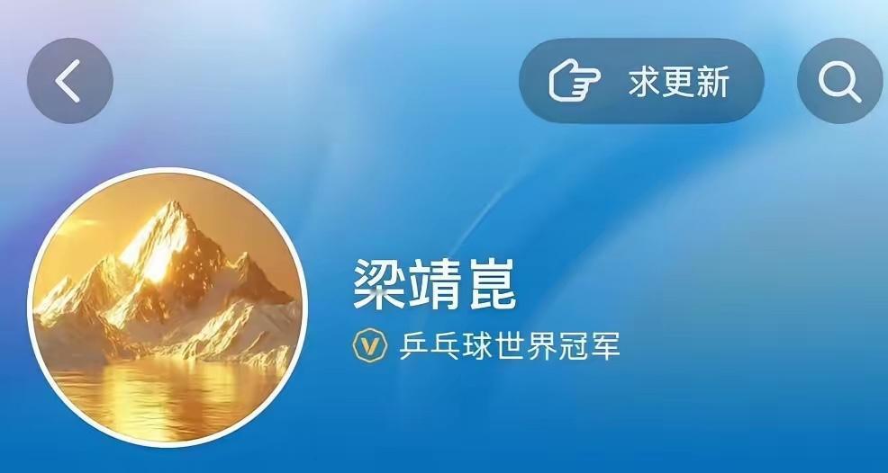 梁靖崑不但拿到了樊振东的名额，还见到了她的真面目，难得见到。梁靖崑dy头