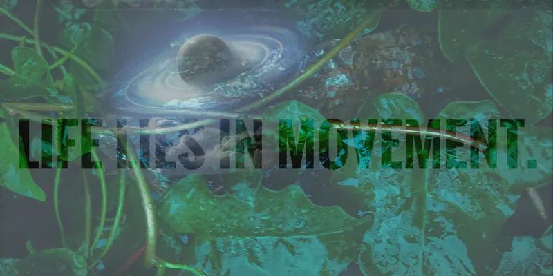 Moderna的癌症疫苗突破意味着什么Moderna的癌症疫苗突破意义重大。2