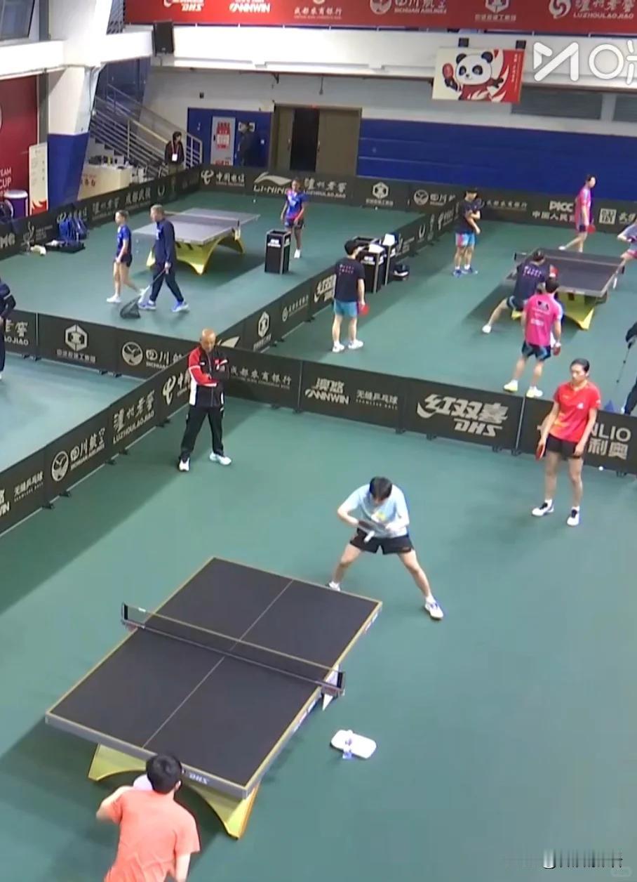 今天的比赛，王曼昱要打女单了。成都混团比赛第二阶段还是循环赛，上午十点的比赛中