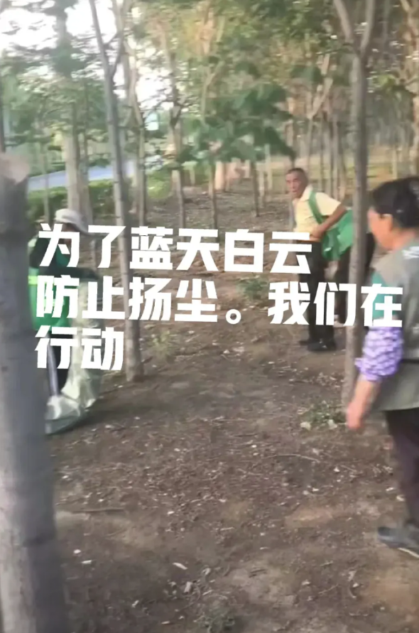 环保又出新招，树林下不能露土，为防止扬尘对空气污染再立新功。六月十九日，有网友发