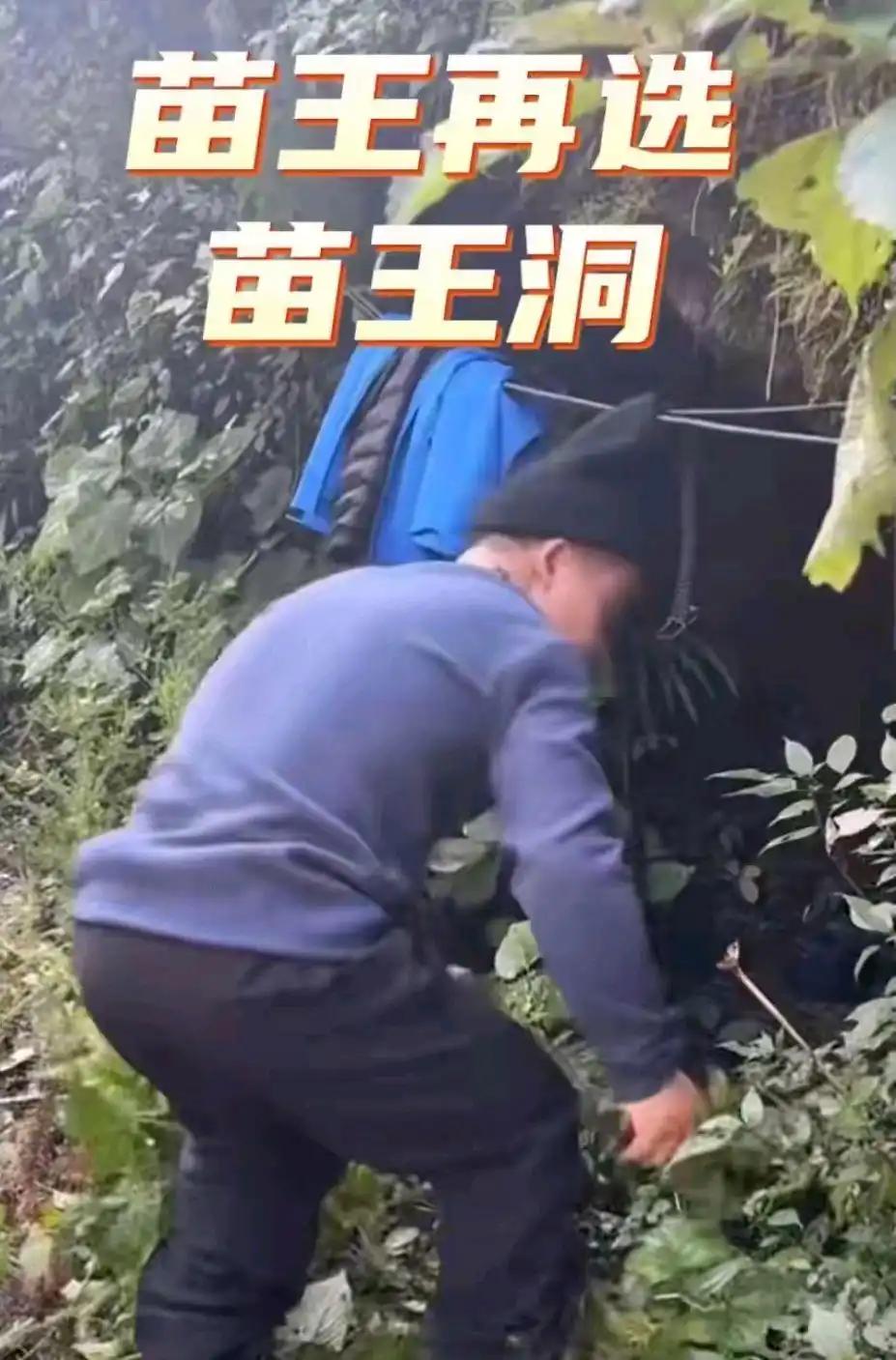 在张家界荒野求生比赛中，“苗王”抢占天然山洞并改造成为坚固庇护所，成为众多参赛者