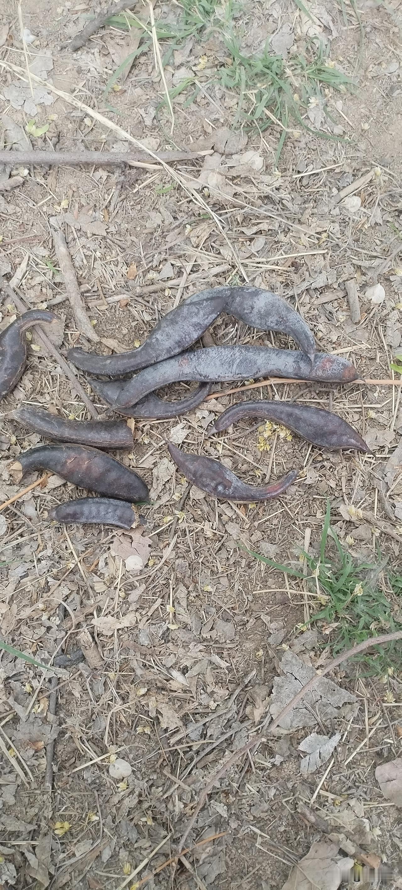 站在的扶弟魔不少。站在的女孩子，特别是有弟弟的，那种家庭里面特别重男轻女的，从