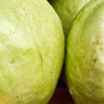 种植☘️番石榴种植甜度的关键因素包括：1.土壤：选择疏松肥沃、微酸性的土质，