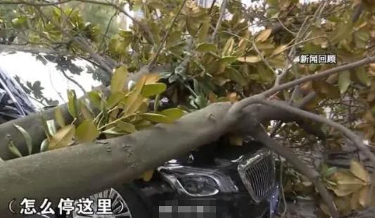 “脸皮真厚！”广东男子私自把他的迈巴赫，停在无人居住的邻居别墅门口。不料晚上刮台