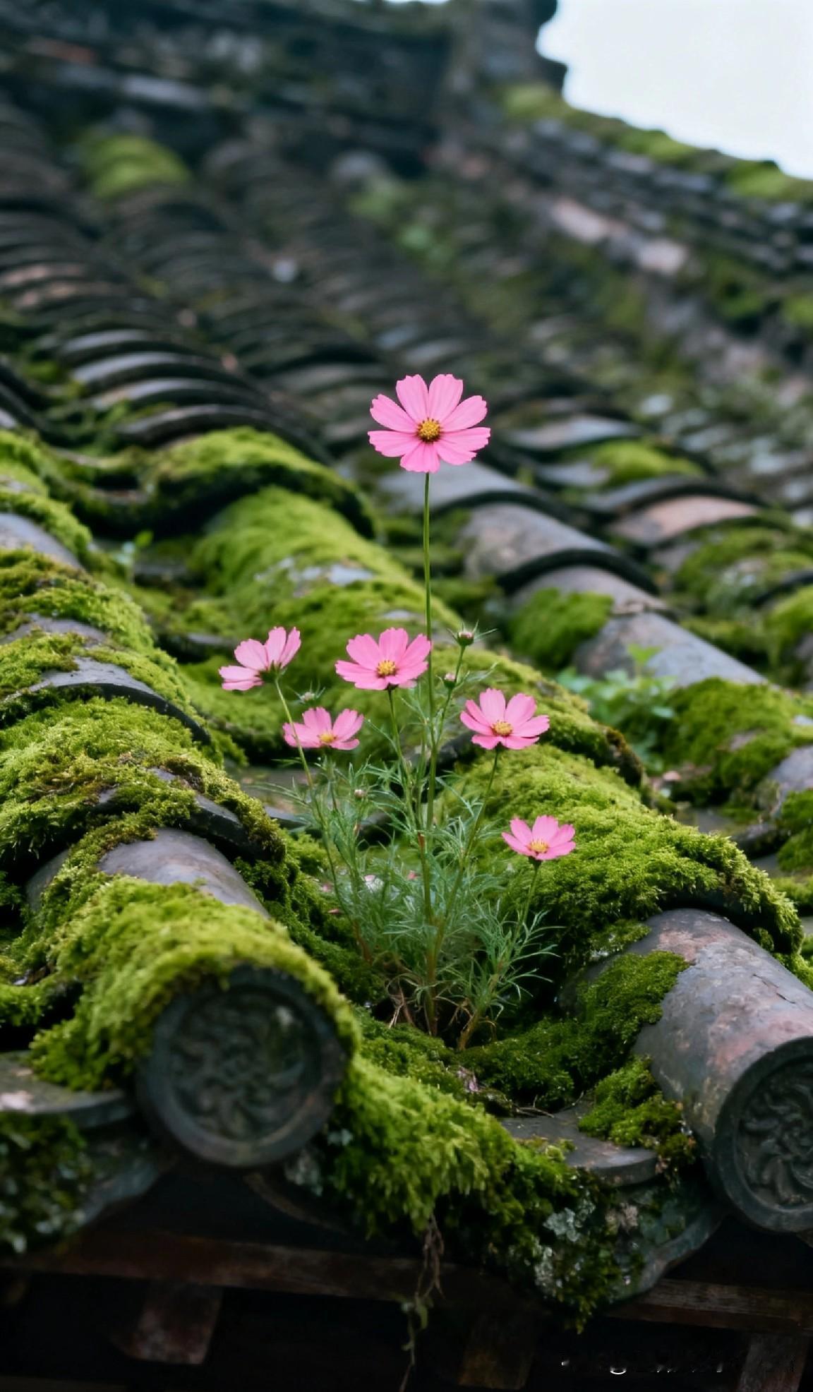 刚看了经济学家郎咸平的一个视频,这次瞄准了咱们家长的钱包——兴趣班。他说:钢