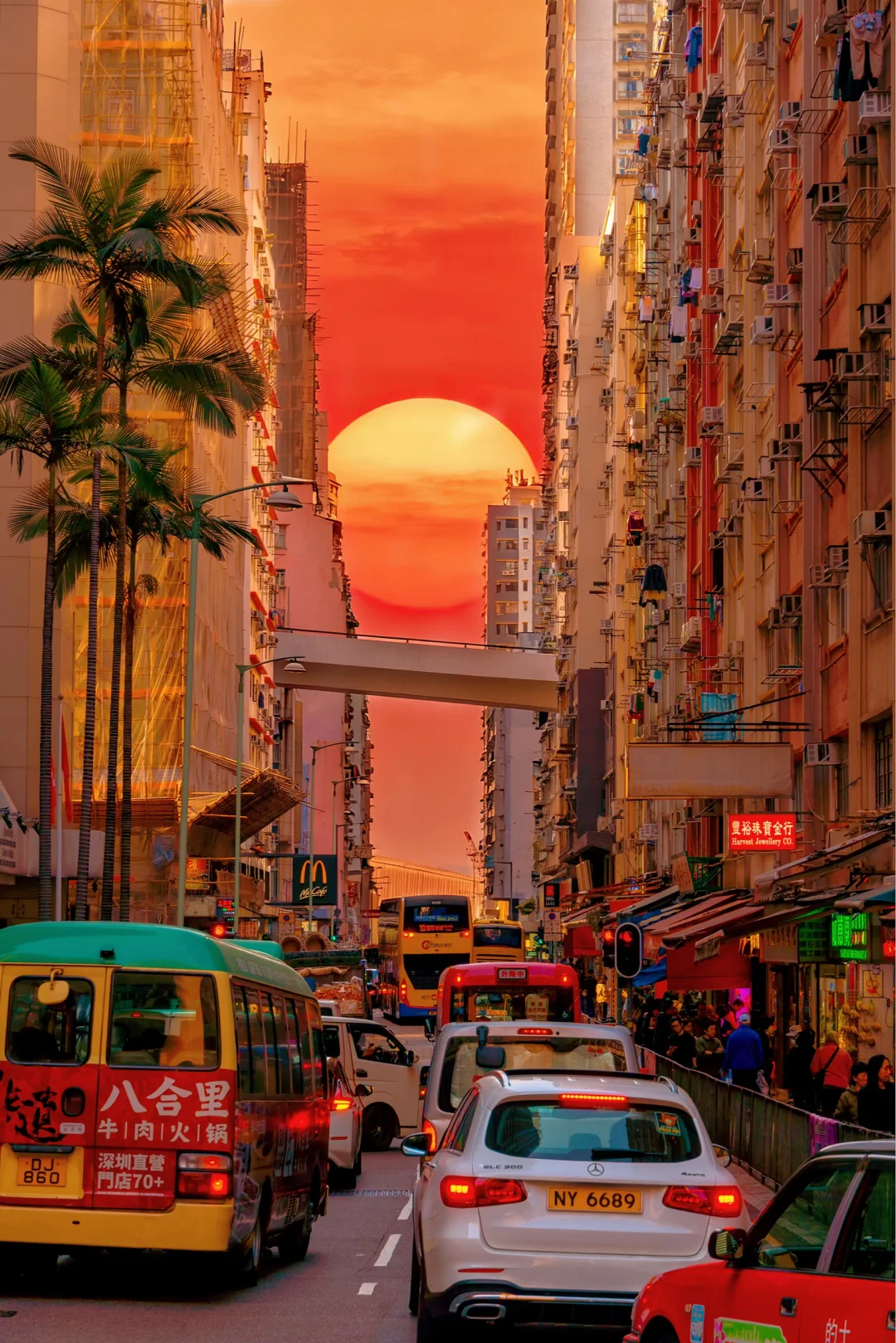 为了这18张照片特意飞了一趟香港，值吗‼️