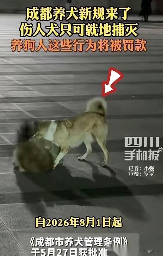 成都的养犬新规，8月1号就要正式实施了。要说里面最让人关注的，倒不是罚款多少