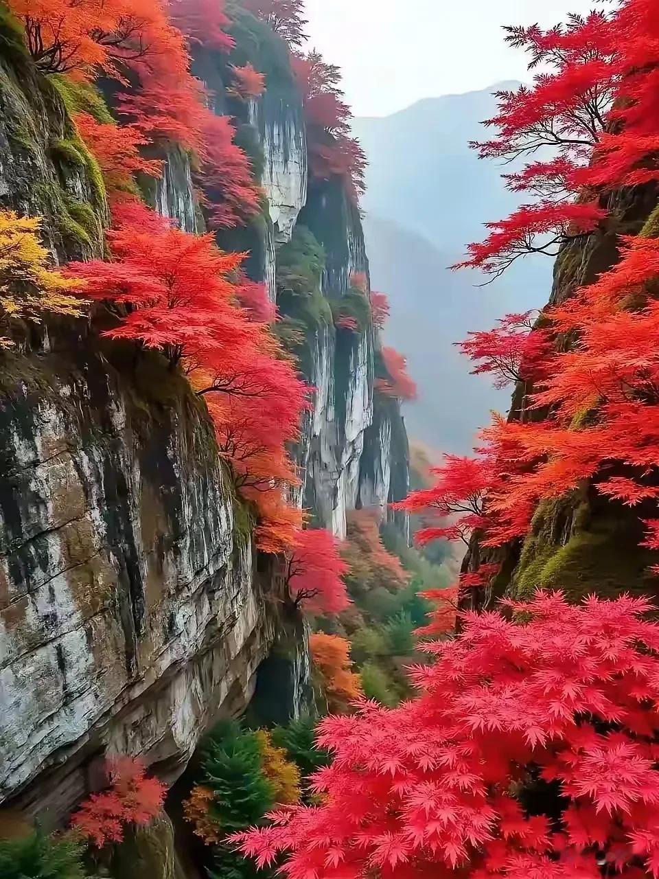 上联:千里冰封望雪飘下联:万山红遍观霜叶横批:江山多娇