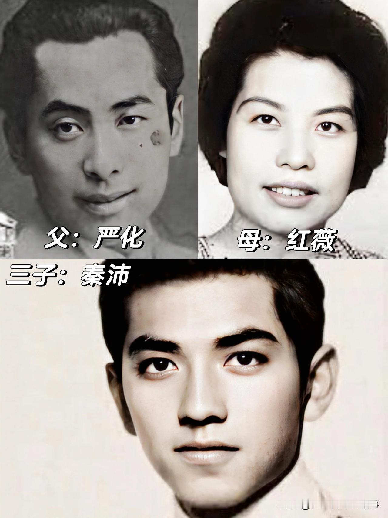 秦沛、姜大卫、尔冬升三兄弟的颜值谁看了不说一句妈妈红薇太会生！明明父母都不算顶好