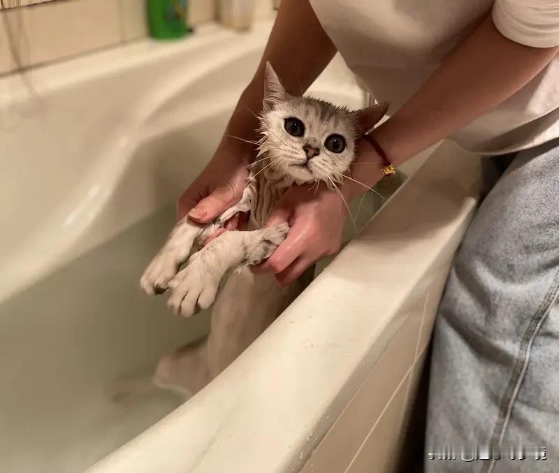 洗澡时喜欢用力搓澡的朋友们可得注意啦！12月5日国家卫健委新闻发布会上，北大第一