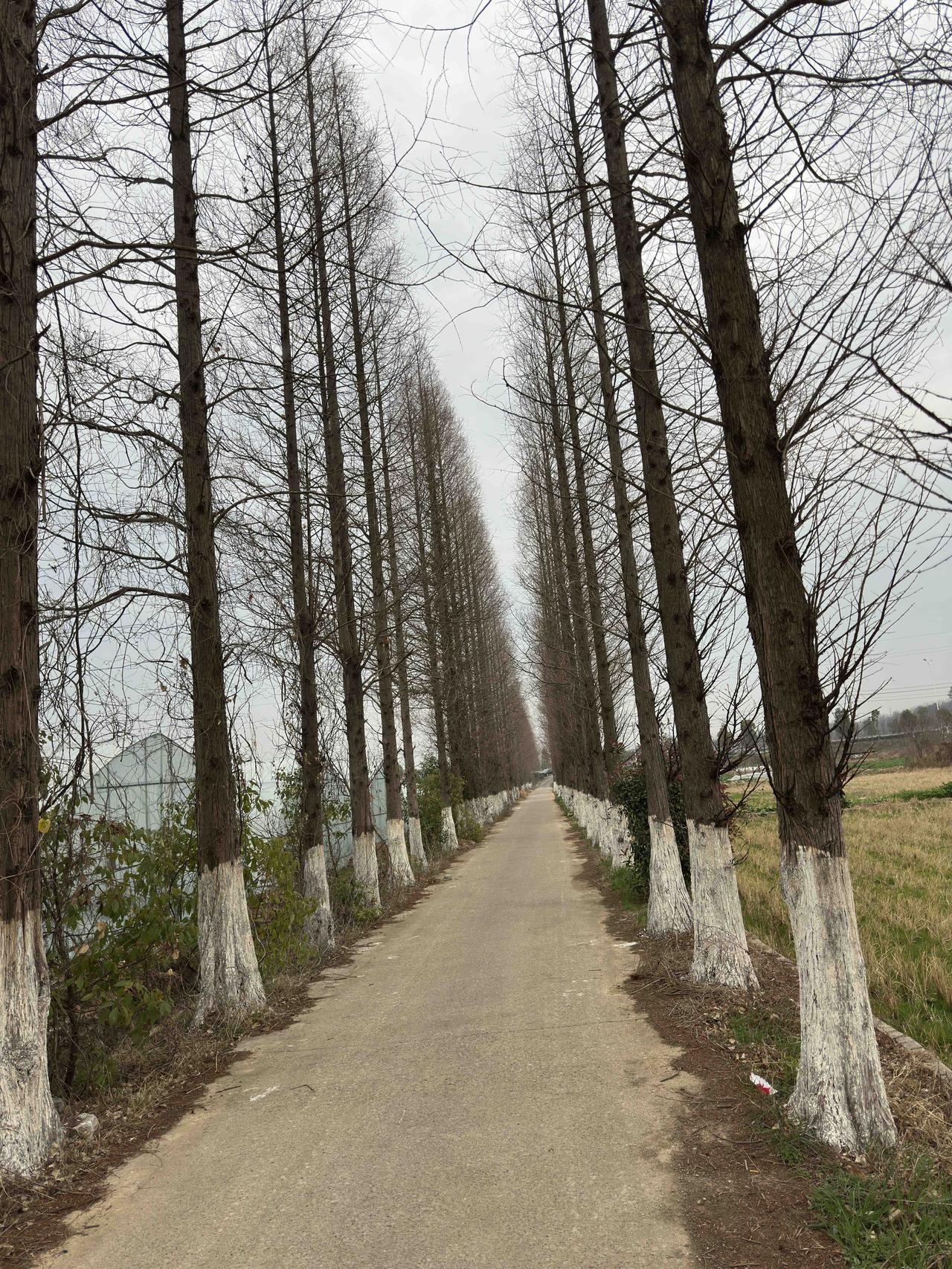 进入二月份，每周三次出行需打车，打车两周，到今天为止，已经遭遇两次滴滴师傅以车子