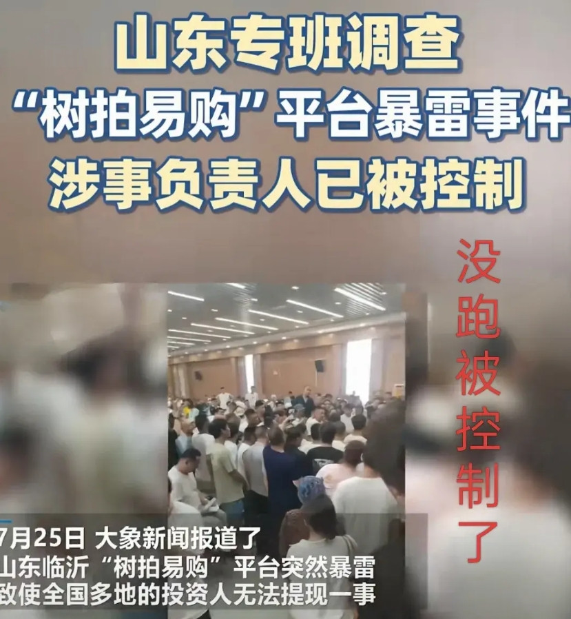 山东树拍易购涉事负责人已被控制，网传说跑路了，实际上并没有跑路！估计是机会不成熟