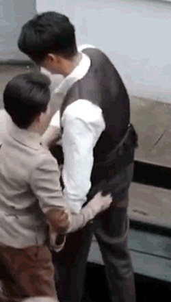 还记得当时白鹿经典永流传