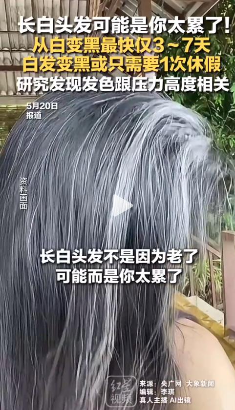休假7天白发真能变黑？网上那条爆款视频，把很多人带沟里了。最近网上疯传一条视频，